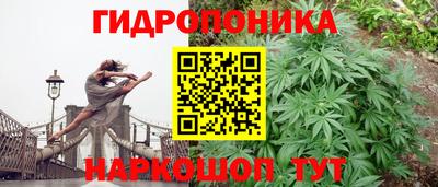 амф Краснознаменск