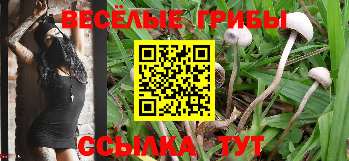 Карталы  Псилоцибиновые грибы ЛСД  Галлюциногенные грибы Psilocybine cubensis  Вход с VPN 